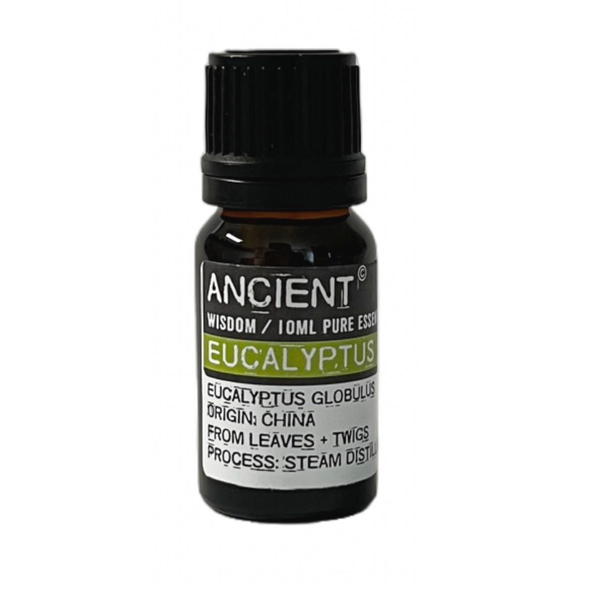 2901 Eukalyptus æterisk olie 10 ml