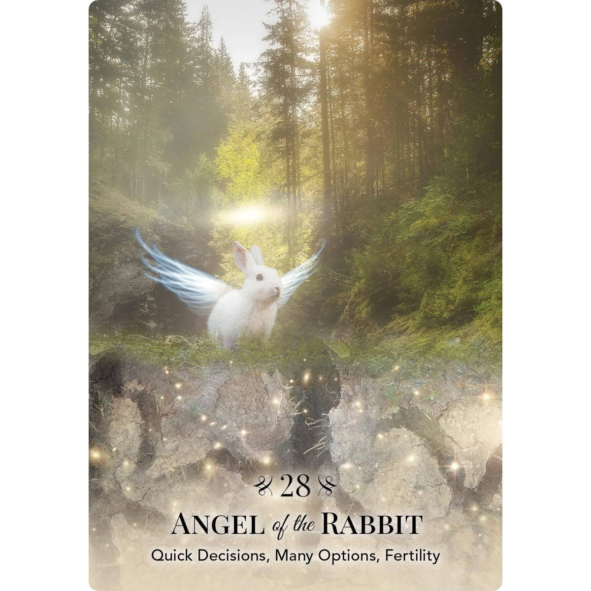 Angels of Nature Oracle | Orakelkort | 44 Kort | Sandra Anne Taylor