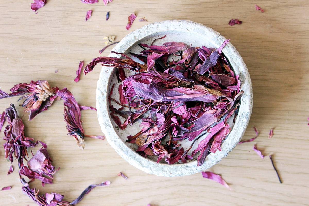 Red Lotus | Rød Lotus Kronblade | Nymphaea rubra | Ayamani Naturals | 15 g
