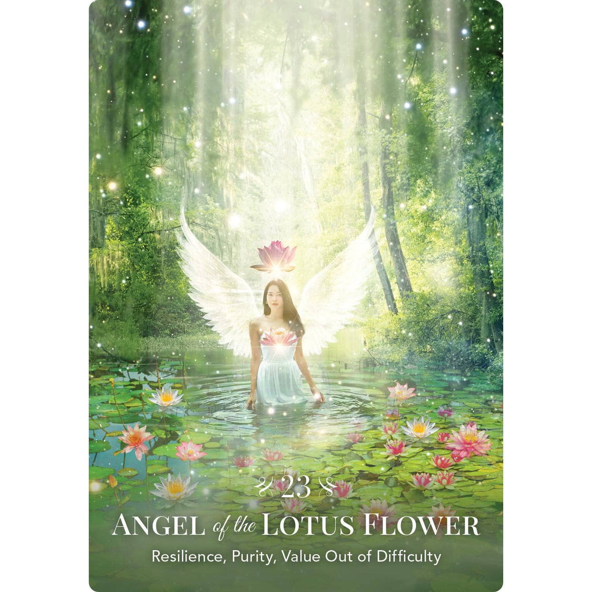 Angels of Nature Oracle | Orakelkort | 44 Kort | Sandra Anne Taylor