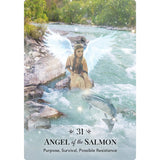 Angels of Nature Oracle | Orakelkort | 44 Kort | Sandra Anne Taylor