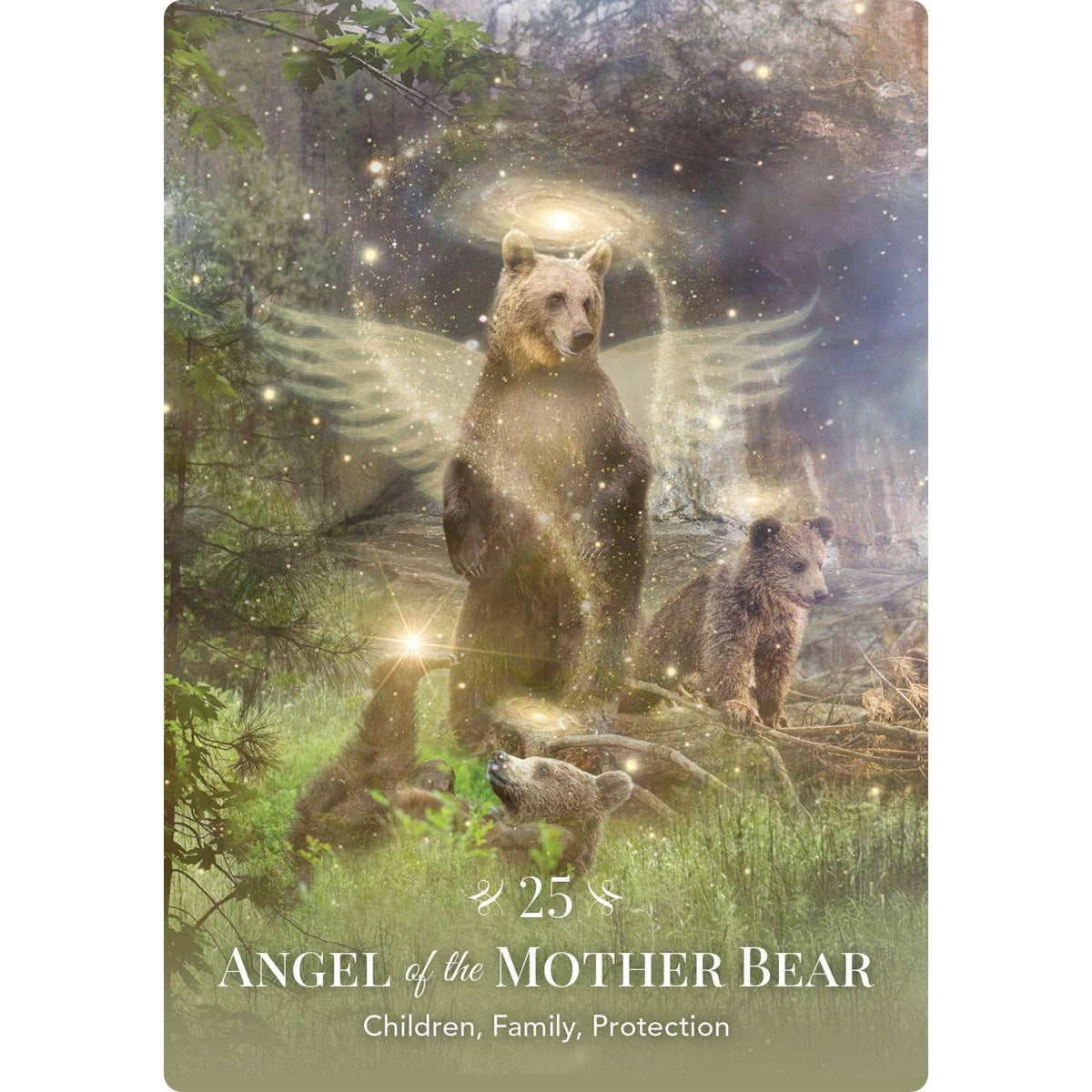 Angels of Nature Oracle | Orakelkort | 44 Kort | Sandra Anne Taylor