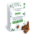 4812 Californian White Sage backflow røgelseskegler