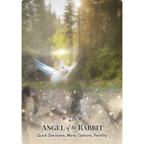 Angels of Nature Oracle | Orakelkort | 44 Kort | Sandra Anne Taylor