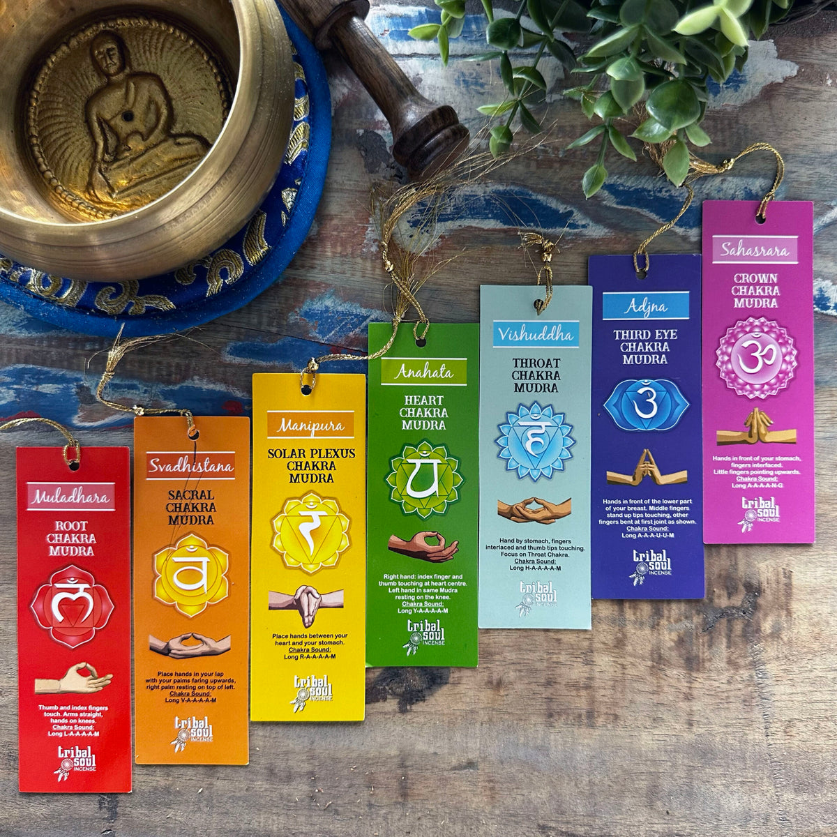7 Chakras | Tribal Soul | Hari Darshan | Røgelsespinde