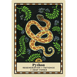 The Omen Oracle | Orakelkort | 44 Kort | Catherine Pierce