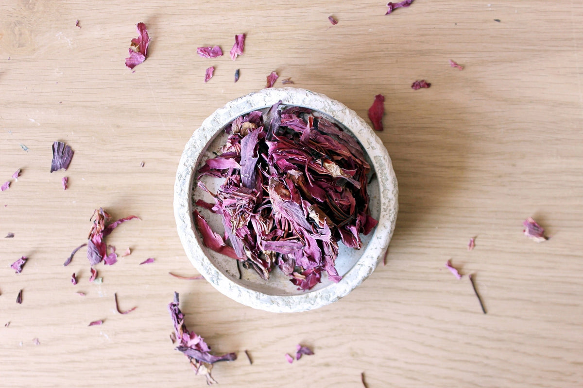 Red Lotus | Rød Lotus Kronblade | Nymphaea rubra | Ayamani Naturals | 15 g