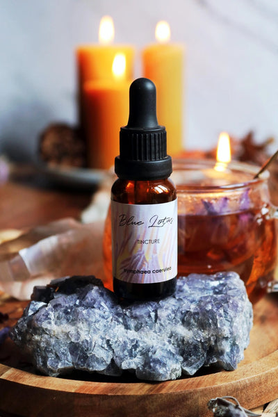 Blå Lotus Tinktur 10:1 | Blue Lotus Ekstrakt | Ayamani Naturals | 20 ml