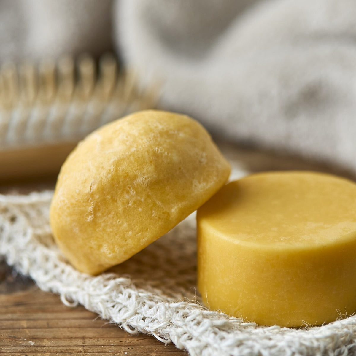 Kystnær Havtorn Shampoo Bar Packs