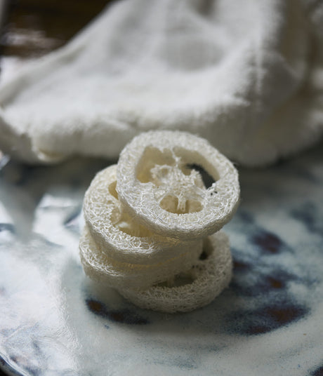 Kystnær Loofah Sæbeholder Packs