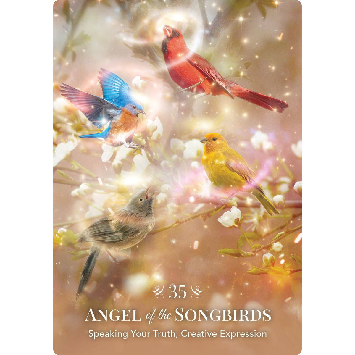 Angels of Nature Oracle | Orakelkort | 44 Kort | Sandra Anne Taylor