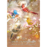 Angels of Nature Oracle | Orakelkort | 44 Kort | Sandra Anne Taylor