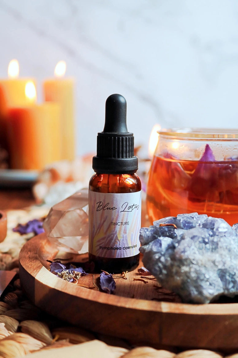 Blå Lotus Tinktur 10:1 | Blue Lotus Ekstrakt | Ayamani Naturals | 20 ml