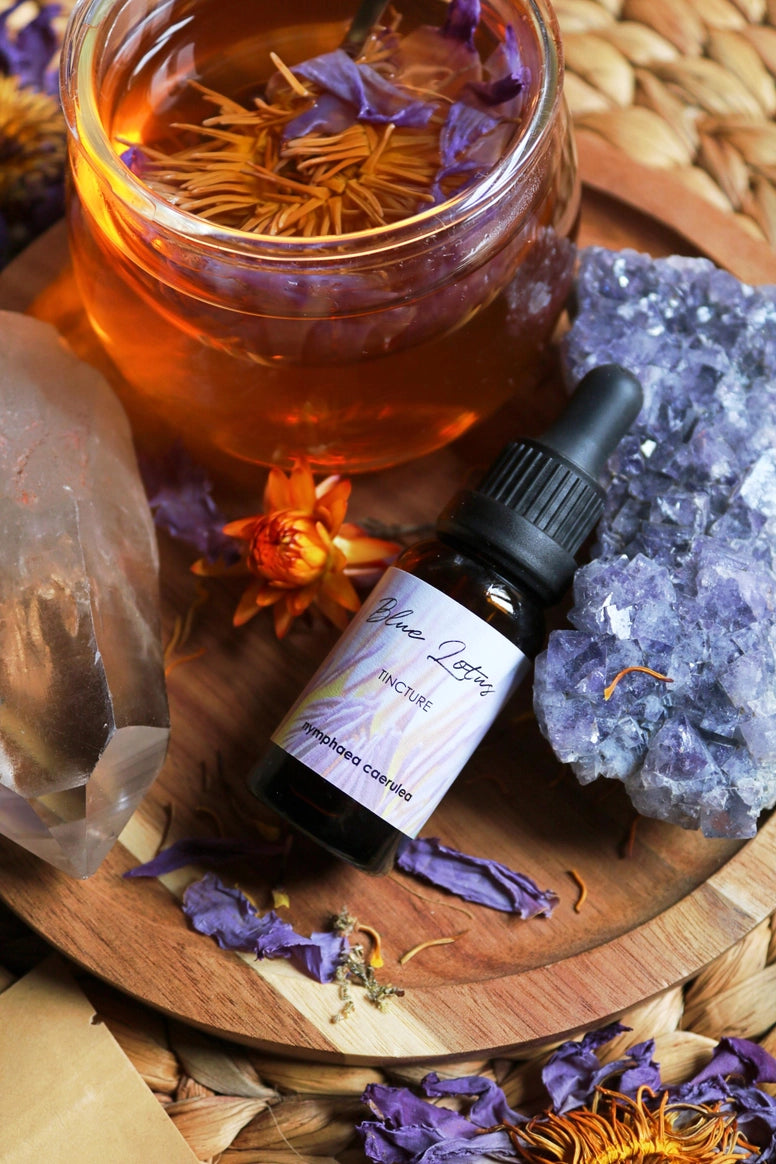 Blå Lotus Tinktur 10:1 | Blue Lotus Ekstrakt | Ayamani Naturals | 20 ml