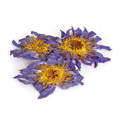 hele tørrede blå lotus blomster
