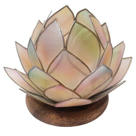 lotus lysestage på hvid baggrund
