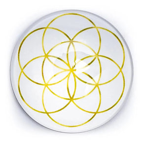 seed of life magnet I guld og hvid
