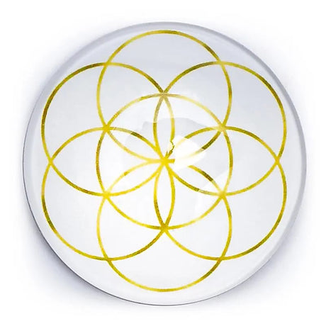 seed of life magnet I guld og hvid