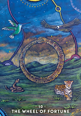 the shamans tarot